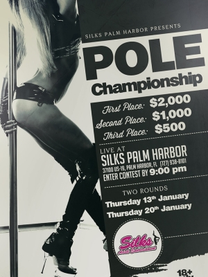 Silks-Pole-Champ-4x62